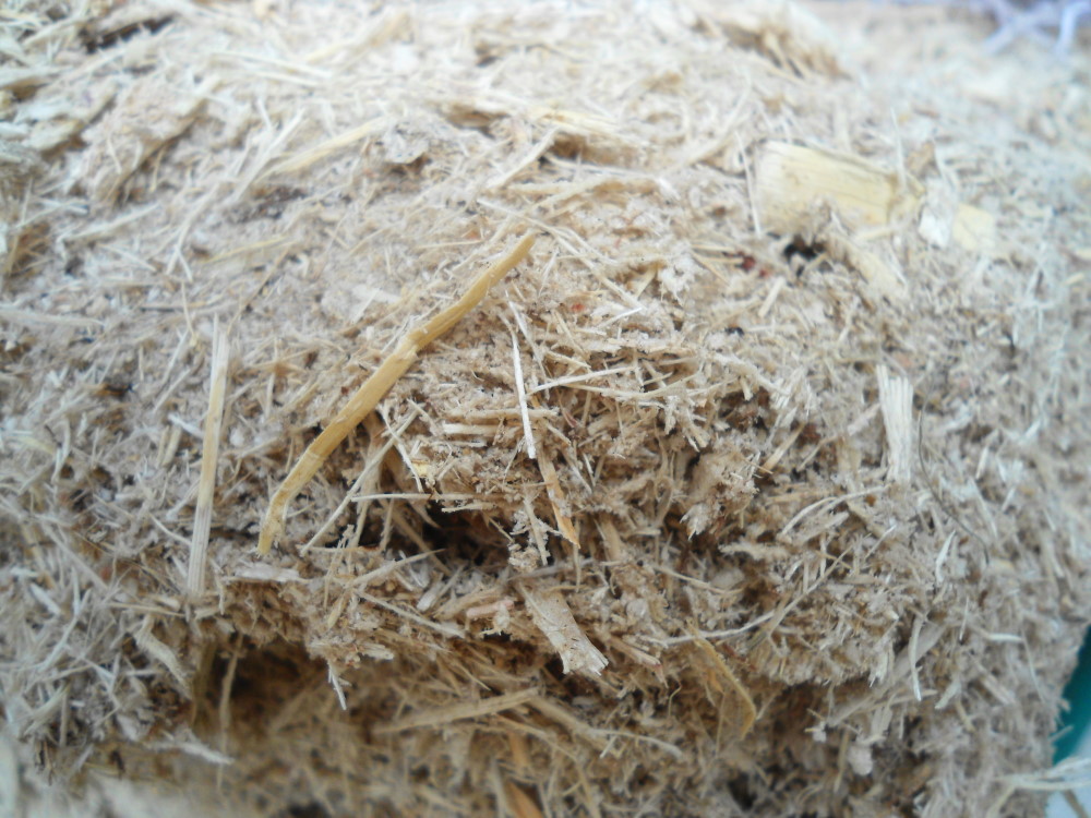 Bagasse_in_Hainan_-_02