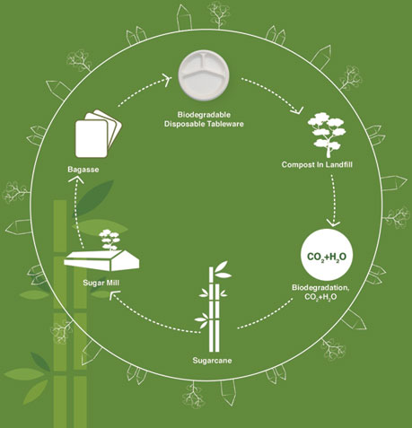 cycle